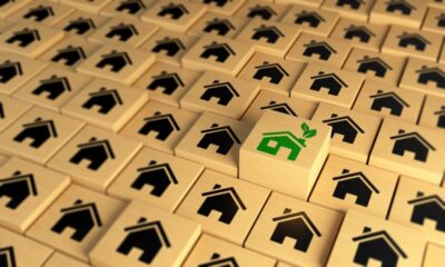 Green Home Standing Out